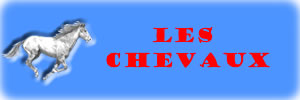 Les Chevaux